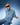 TOP GUN® "ELITE PILOT SCHOOL" TEE