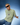 TOP GUN® "ELITE PILOT SCHOOL" TEE