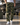 TOP GUN® "CARGO PILOT" PANT